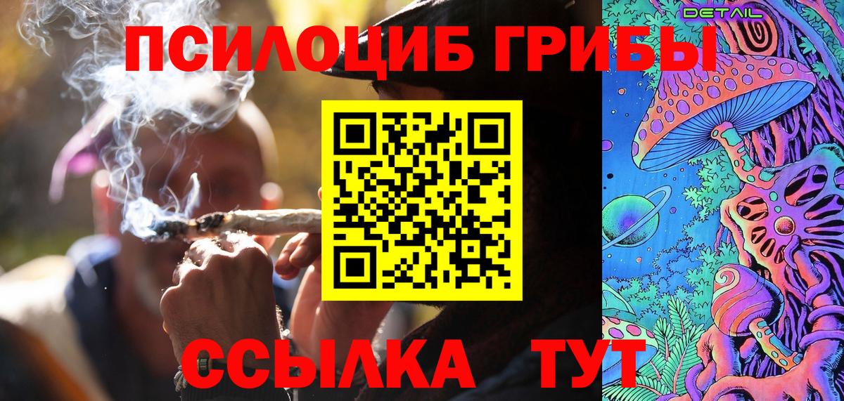Псилоцибиновые грибы Psilocybe Жигулёвск