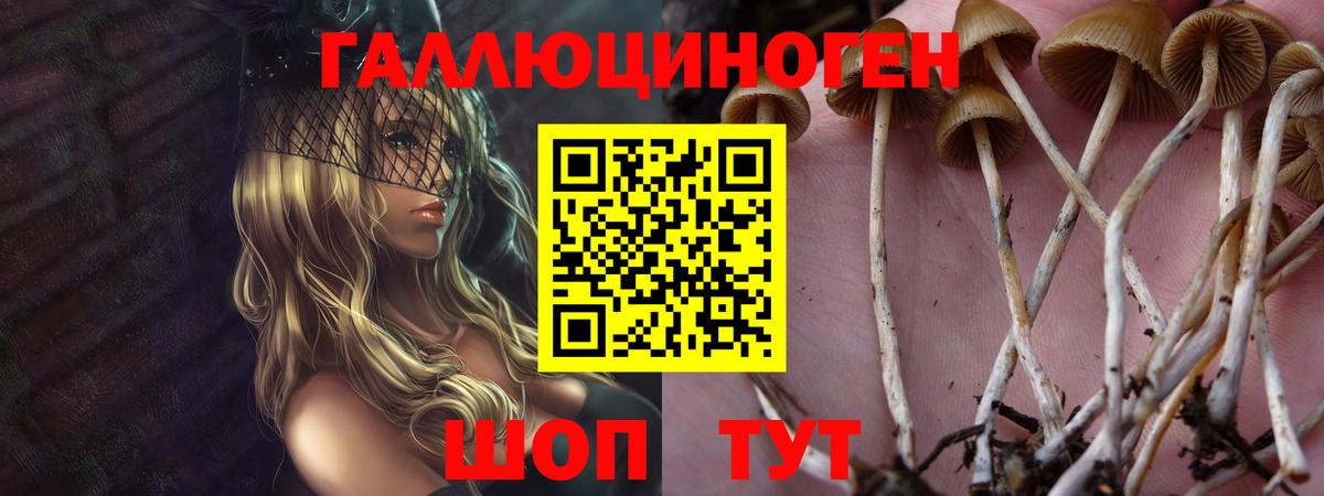 Жигулёвск  Псилоцибиновые грибы Cubensis  Вход с VPN  Галлюциногенные грибы ЛСД 